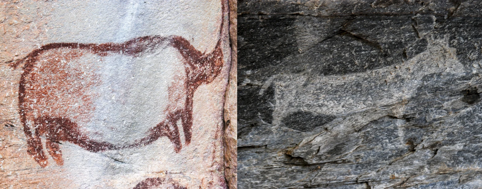 Rock-art panel on a Tsodilo Hills rock face.