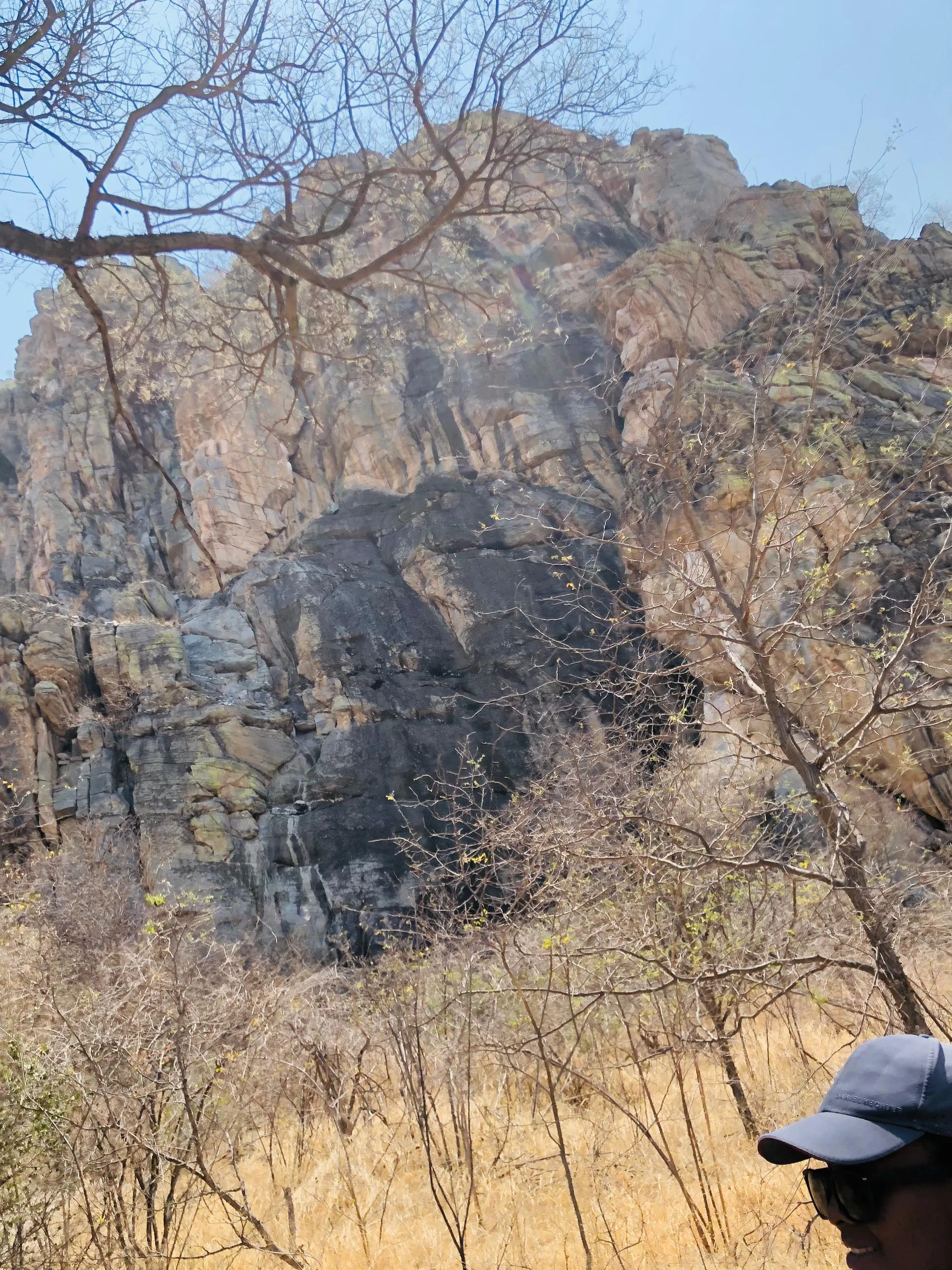 Walking trail through dry scrub near Tsodilo Hills, Botswana.