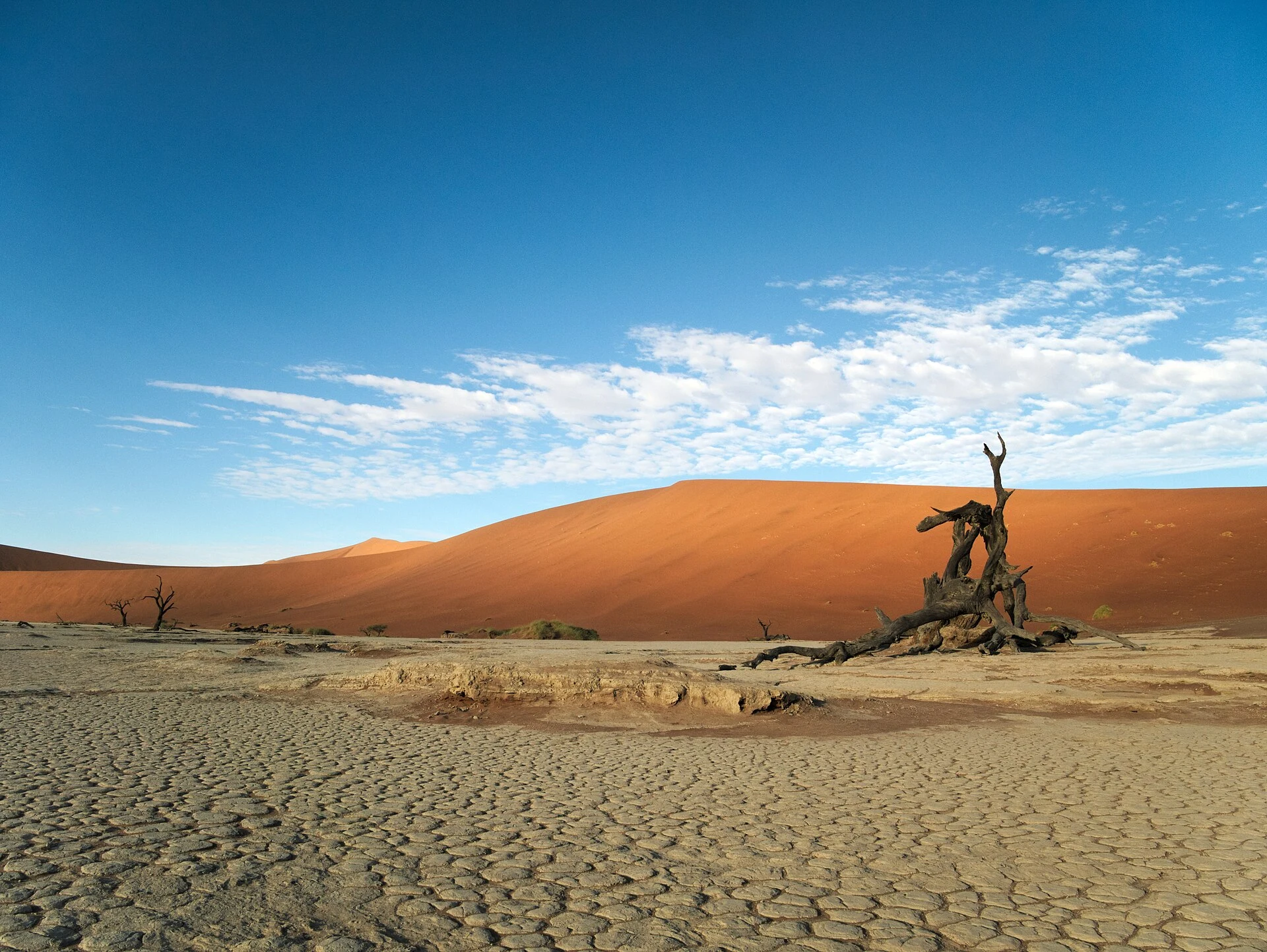 Alberi morti sulla conca di argilla chiara di Deadvlei.