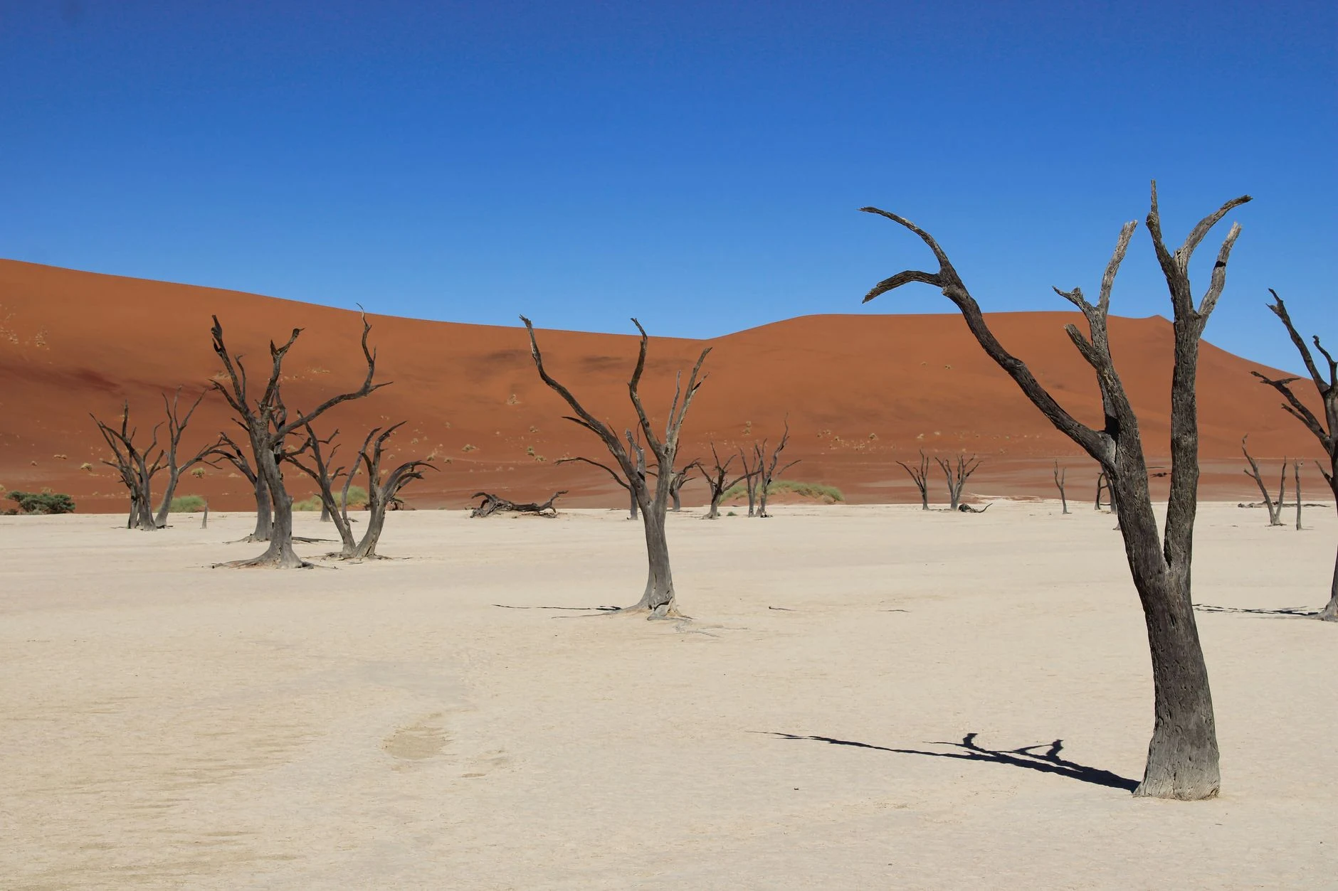 Pista sabbiosa di accesso a Deadvlei nell’area di Sossusvlei.