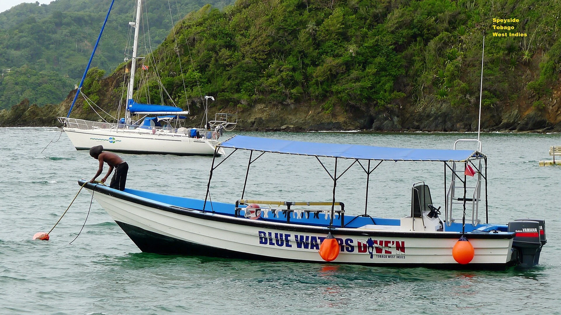 Barche da pesca ancorate nella baia di Speyside, Tobago.