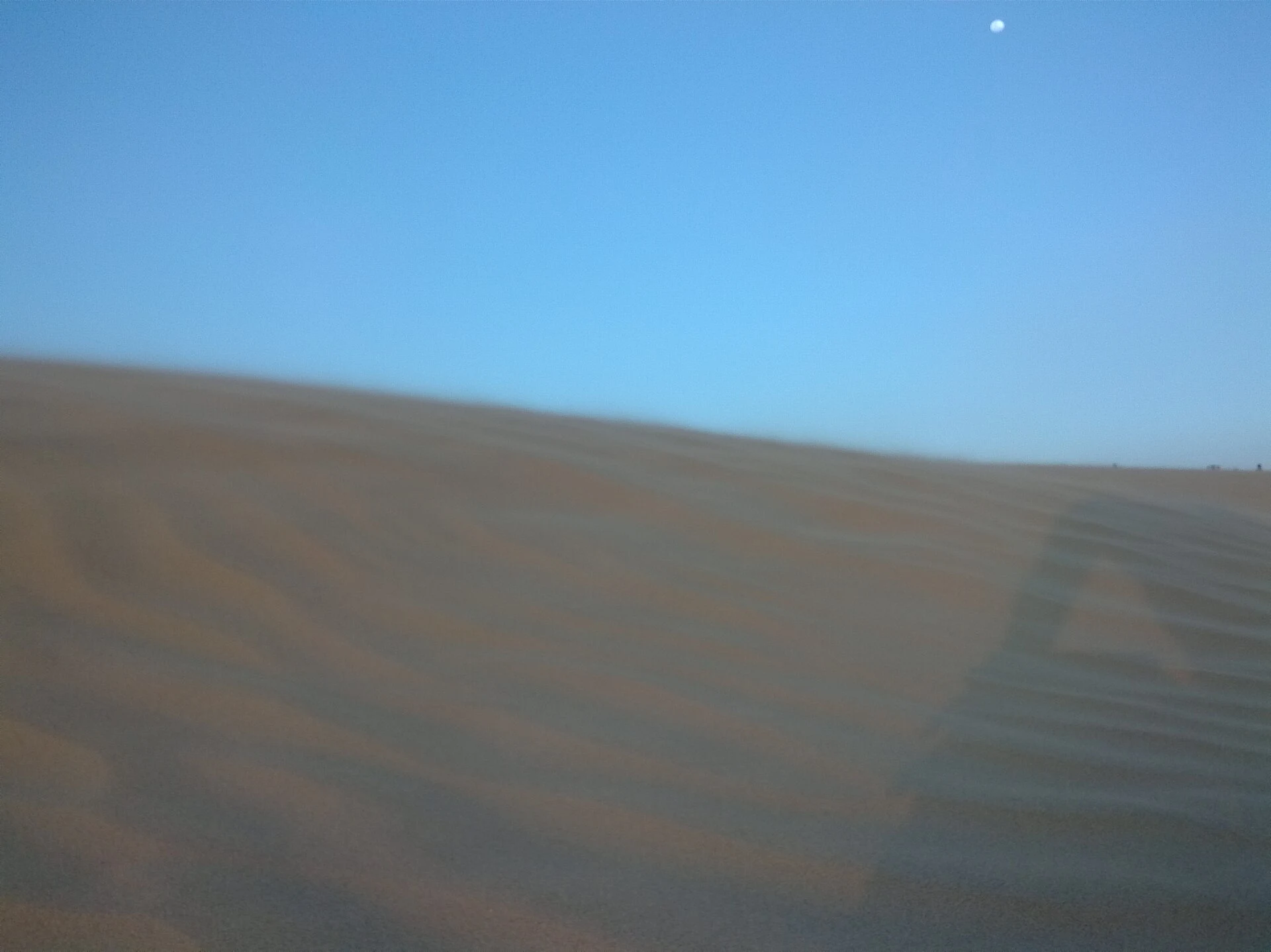 Dunas e vegetação seca no Parque Nacional Médanos de Coro.