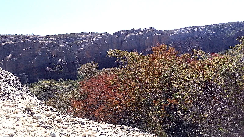 Felsmalereien in einem Sandsteinunterstand der Serra da Capivara.