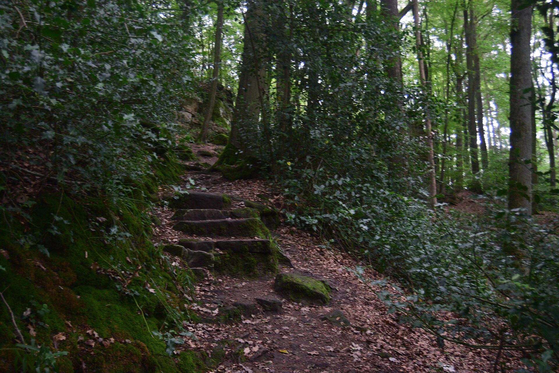 Choisir sa randonnée sur le Mullerthal Trail au Luxembourg