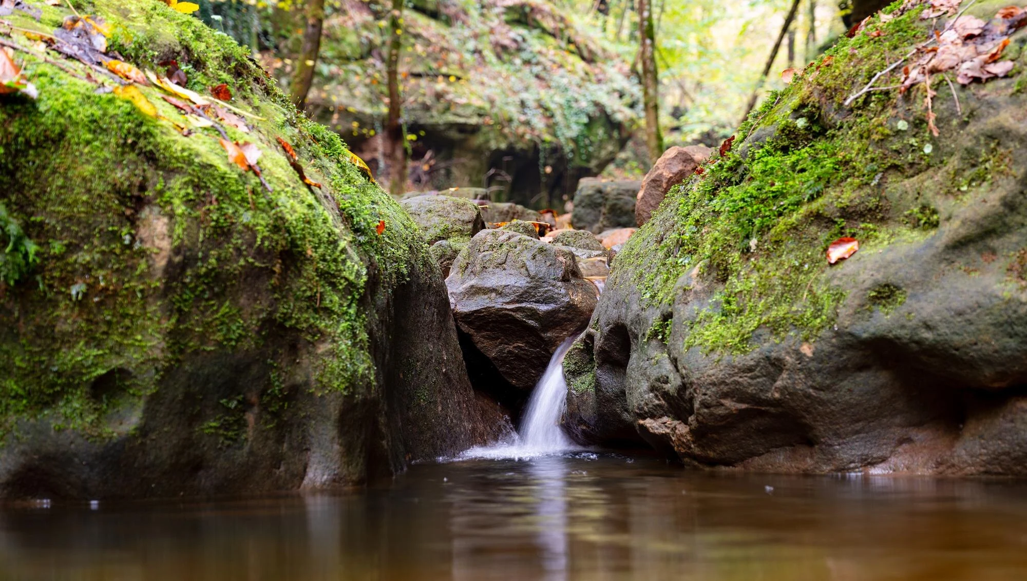 Choisir sa randonnée sur le Mullerthal Trail au Luxembourg
