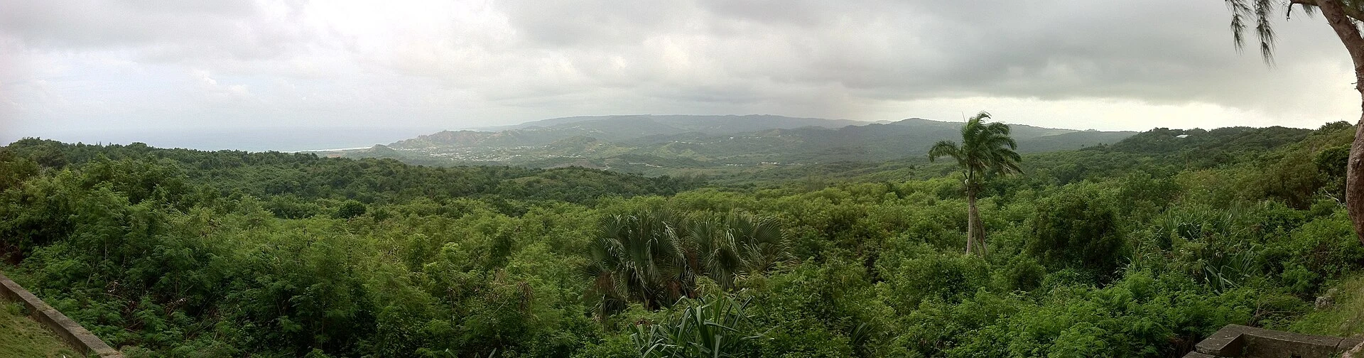 Colinas verdes e relevo dobrado do Scotland District em Barbados