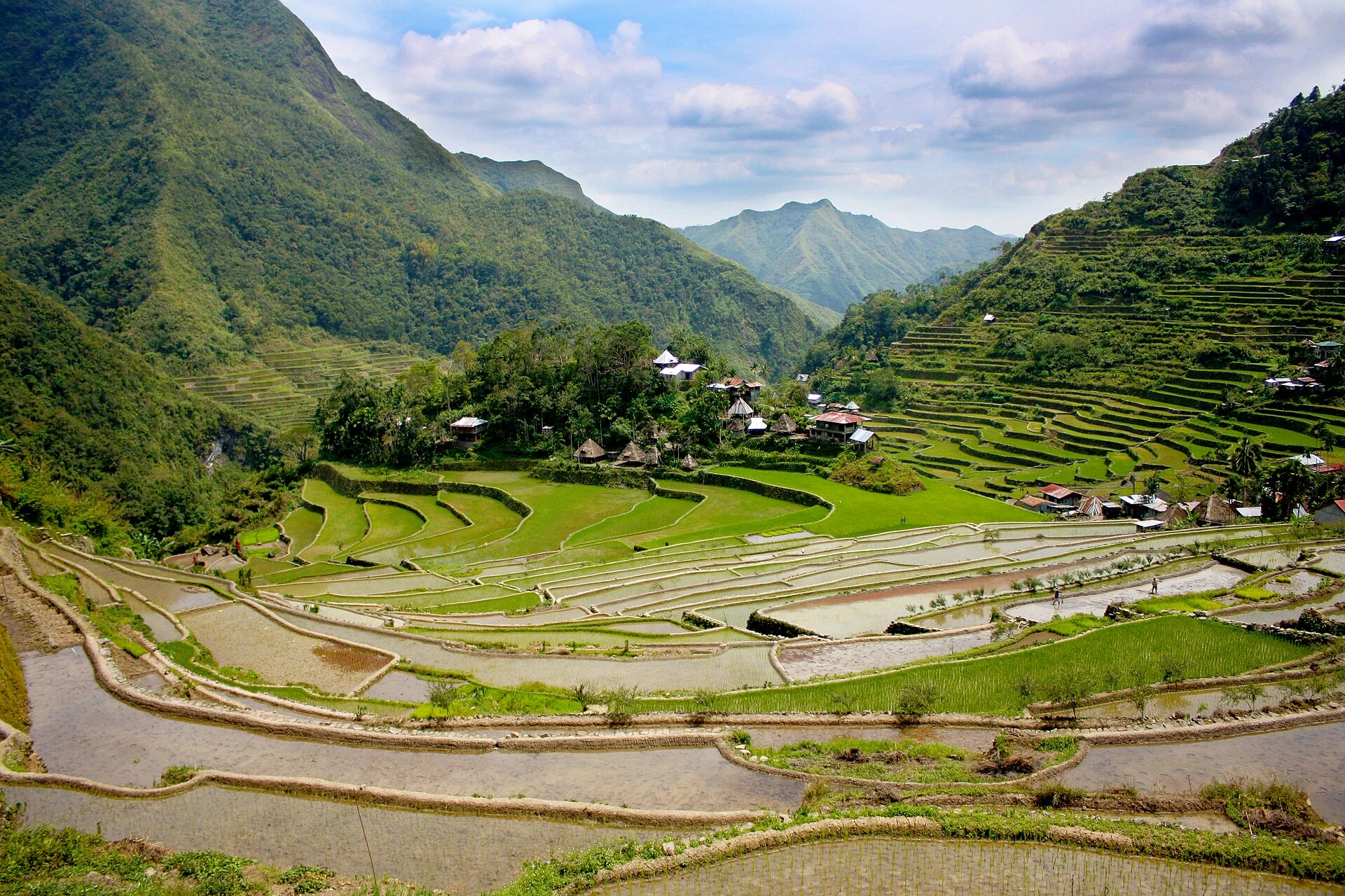 Terrazzamenti di riso a forma di anfiteatro attorno al villaggio di Batad, Ifugao.
