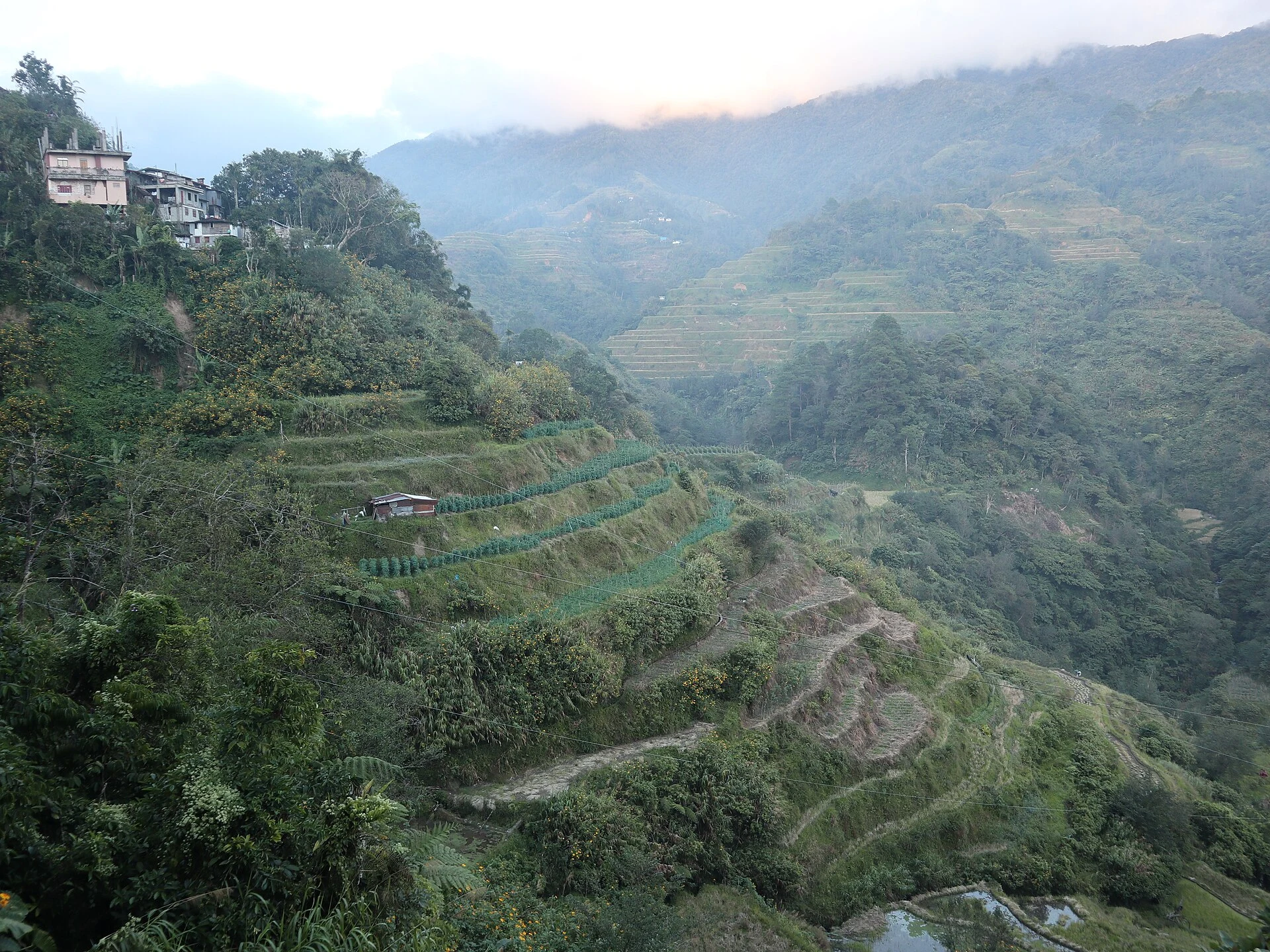 Canal d’irrigation et mur de pierre près d’une rizière en terrasses d’Ifugao.