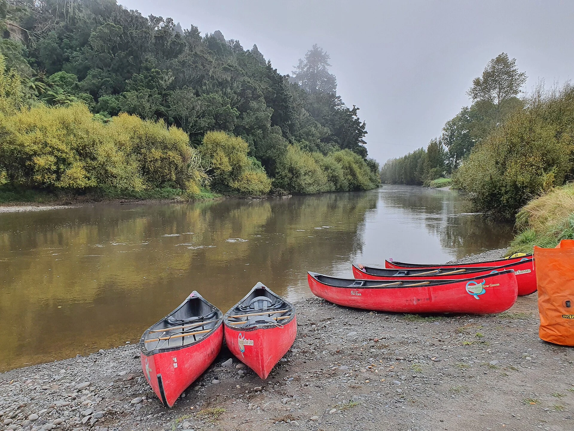 Canoe cariche percorrono una gola boscosa del fiume Whanganui.