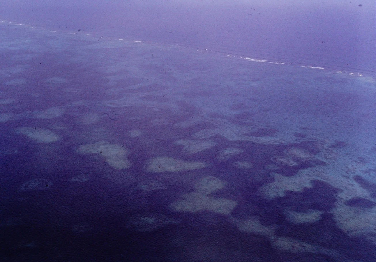 Praticantes de snorkel observam o recife de Andros sem tocar nos corais.