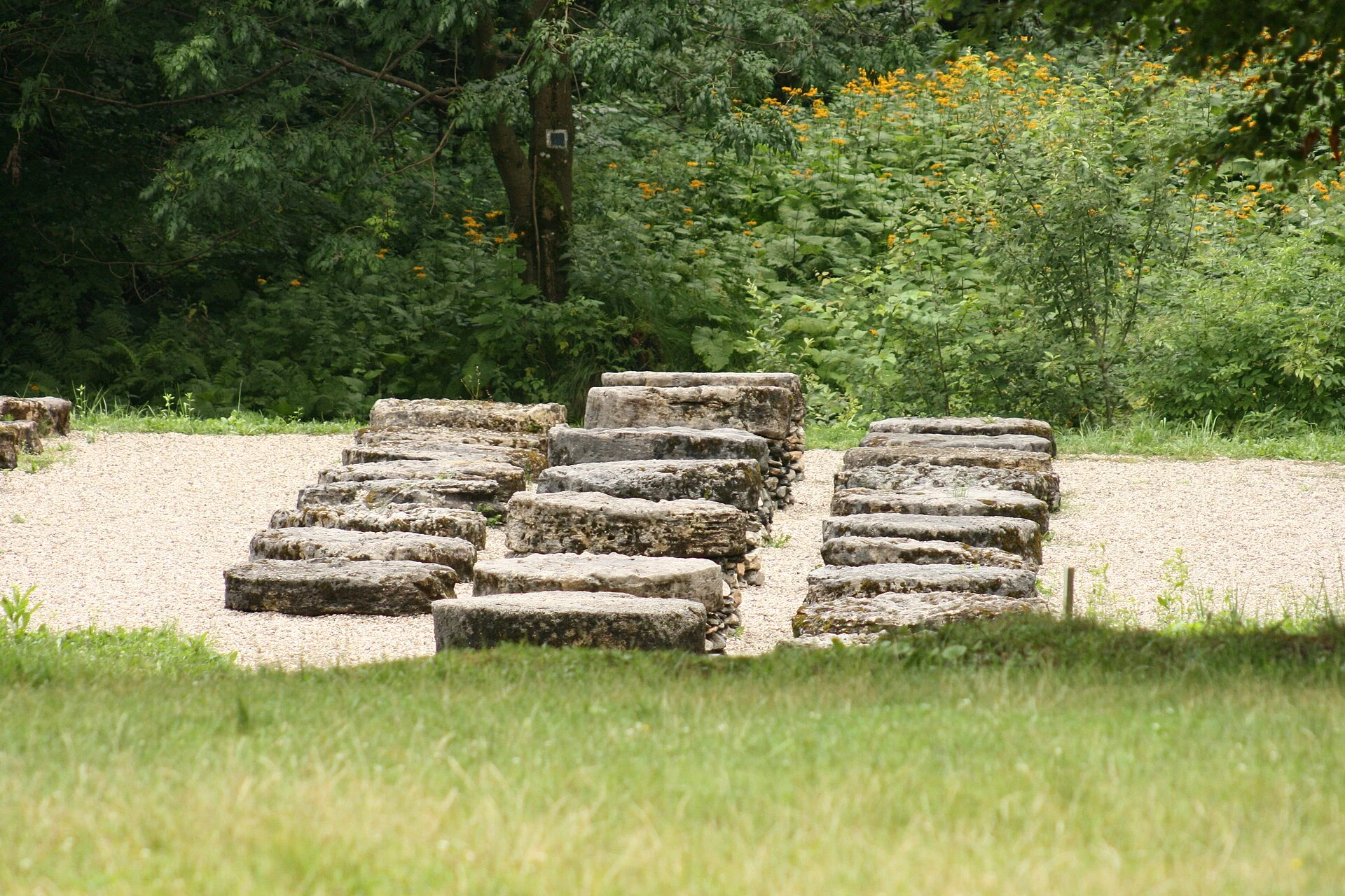 Besucherweg zwischen Bäumen und archäologischen Strukturen in Sarmizegetusa Regia.