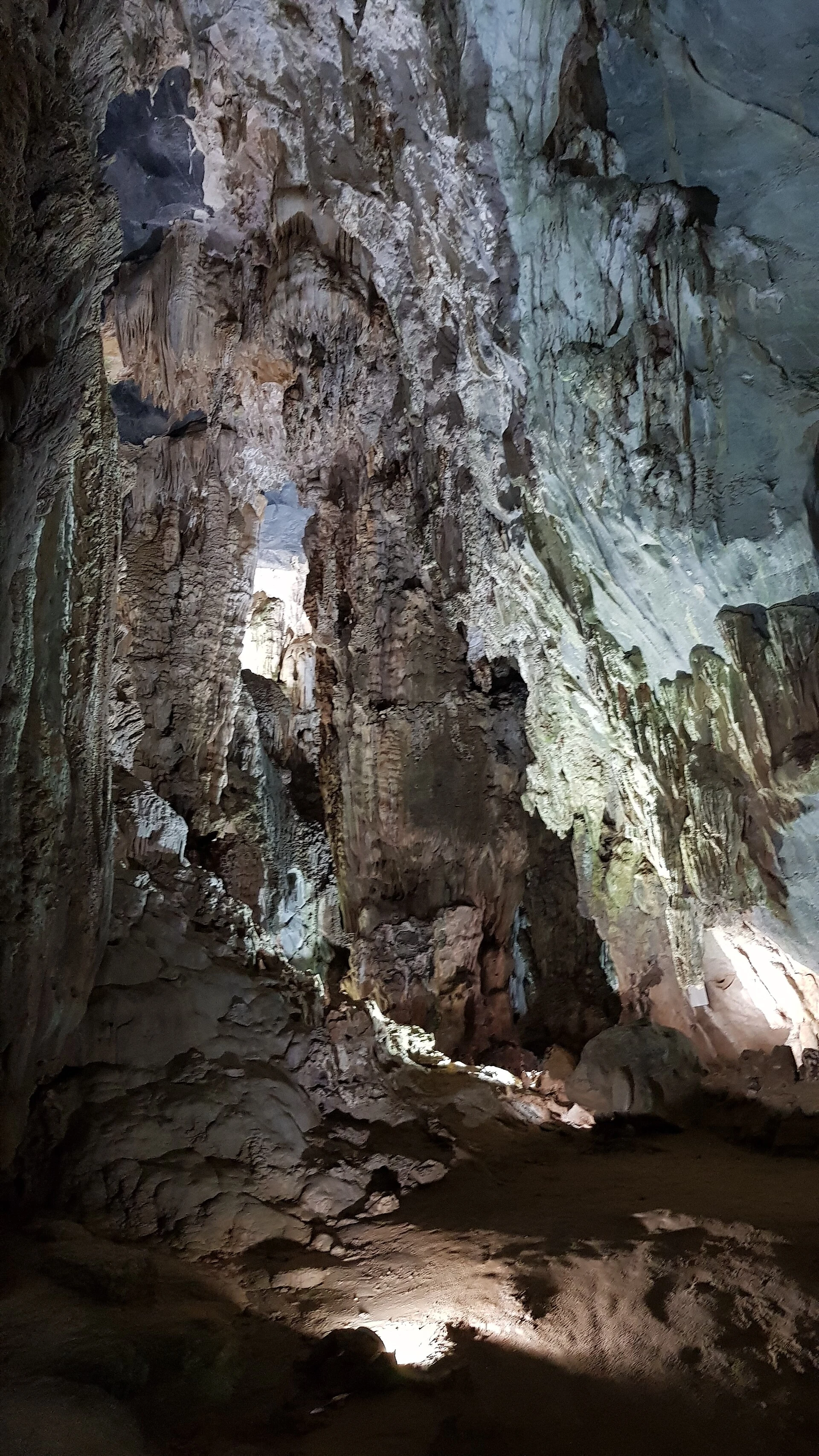 Forêt et relief karstique autour de Pygmy Cave.