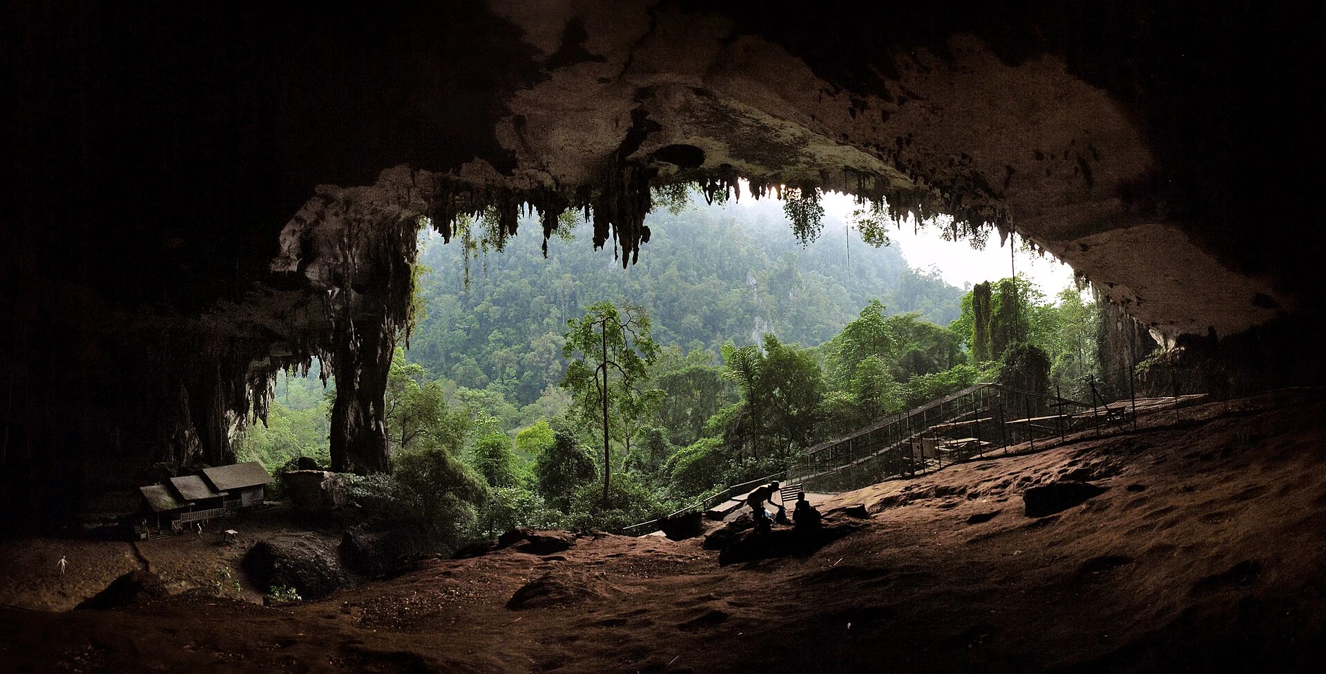 Passerella sopraelevata nella foresta verso la Grande Grotta di Niah.