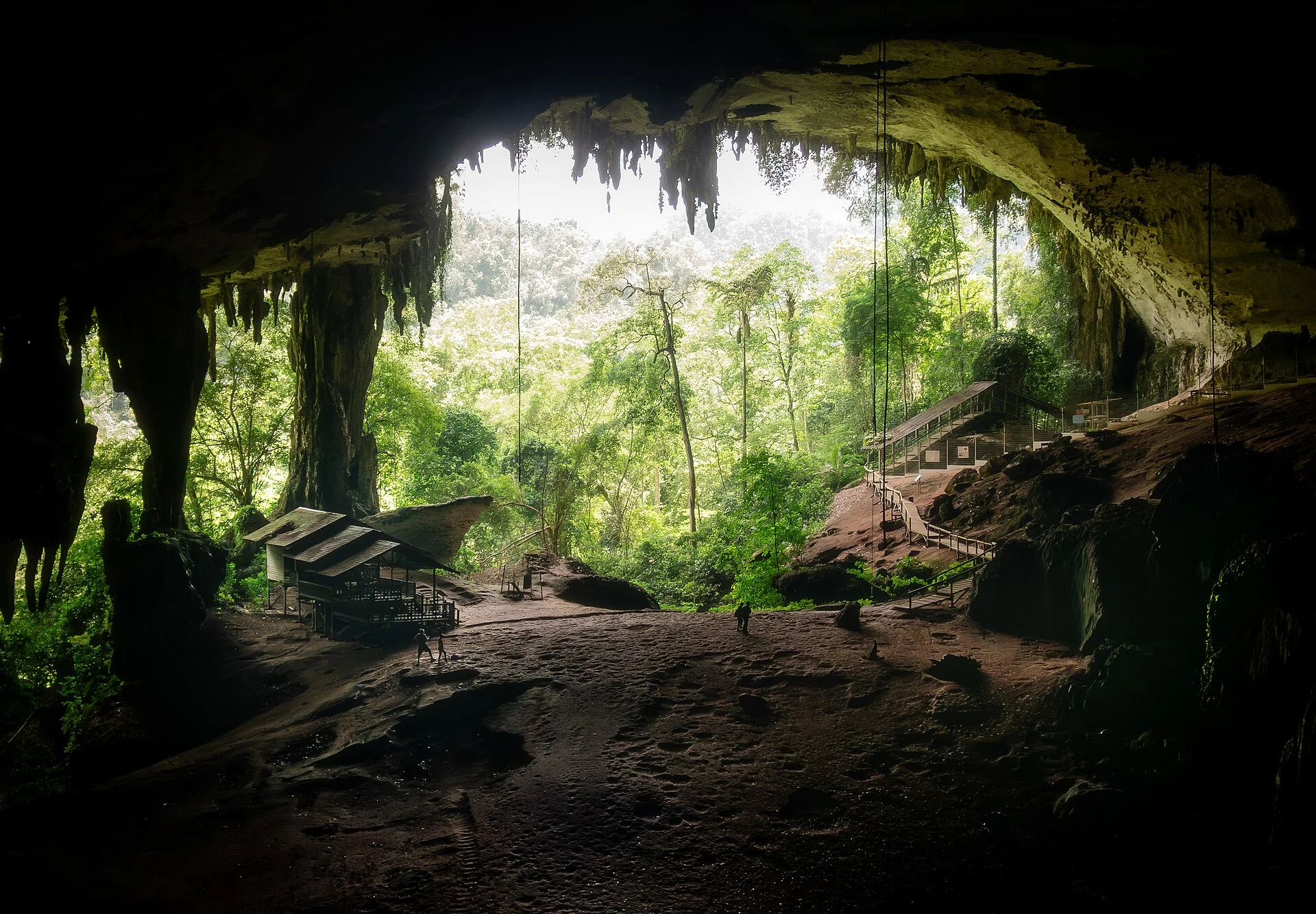 Trilha na floresta em direção à Caverna Pintada de Niah.