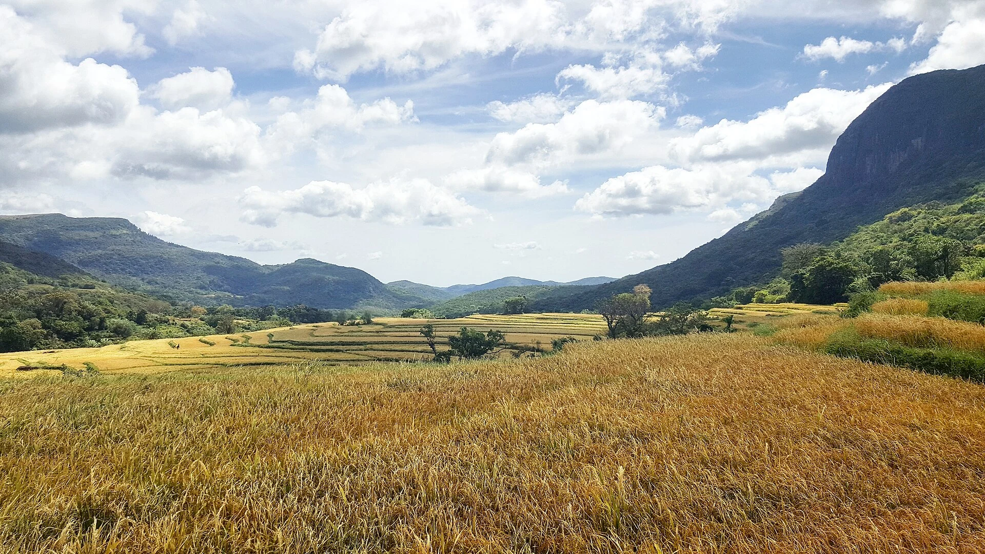 Grasland von Pitawala Pathana mit Blick auf ein Tal in den Knuckles-Bergen.