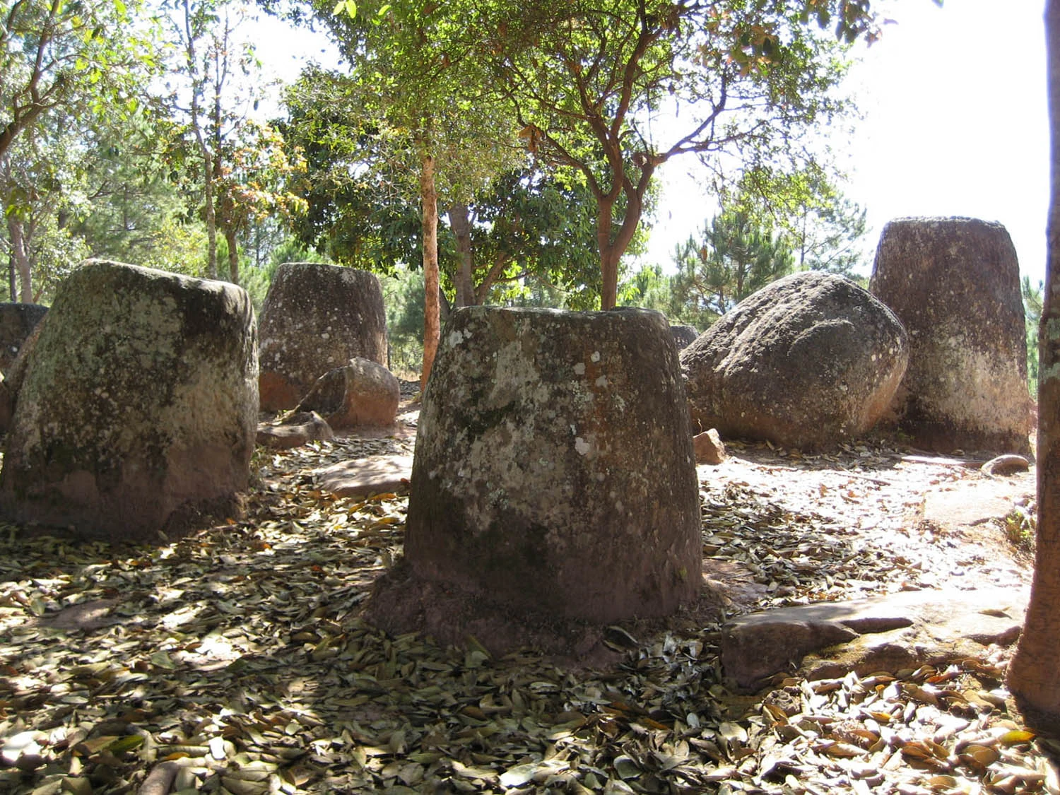 Stone jars among trees on a hill at Site 2 of the Plain of Jars.