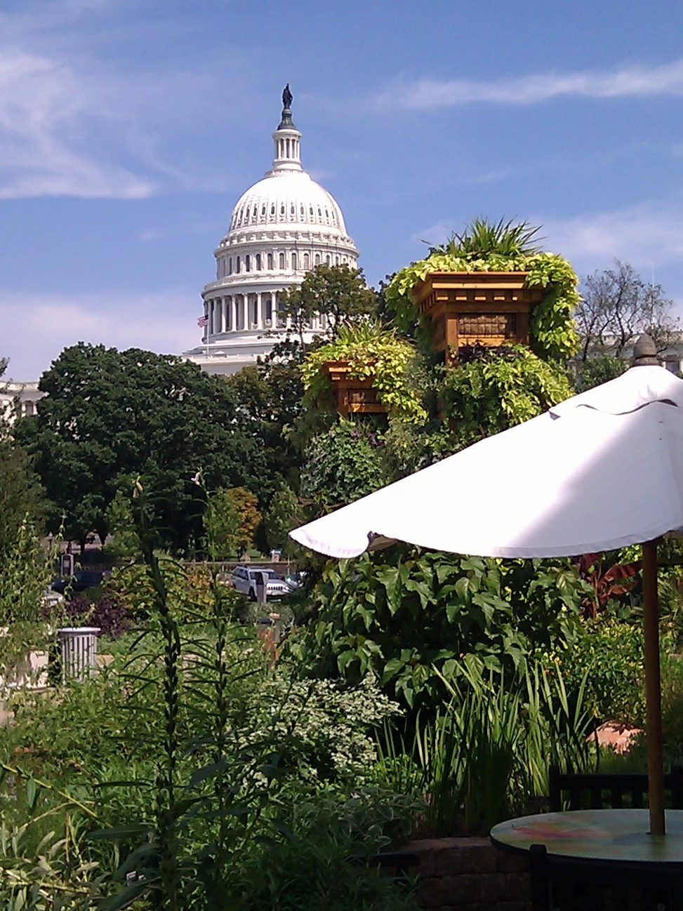 Edifício do Capitólio em Washington, D.C.
