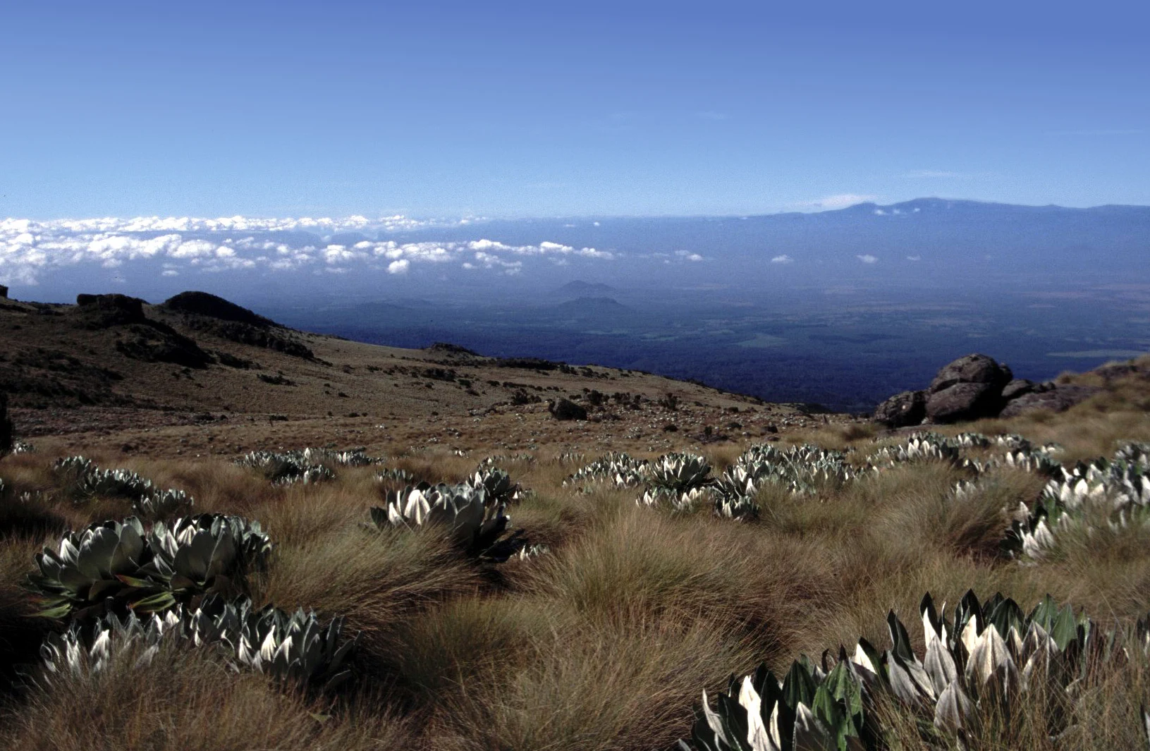 Point Lenana seen from a trekking approach on Mount Kenya.