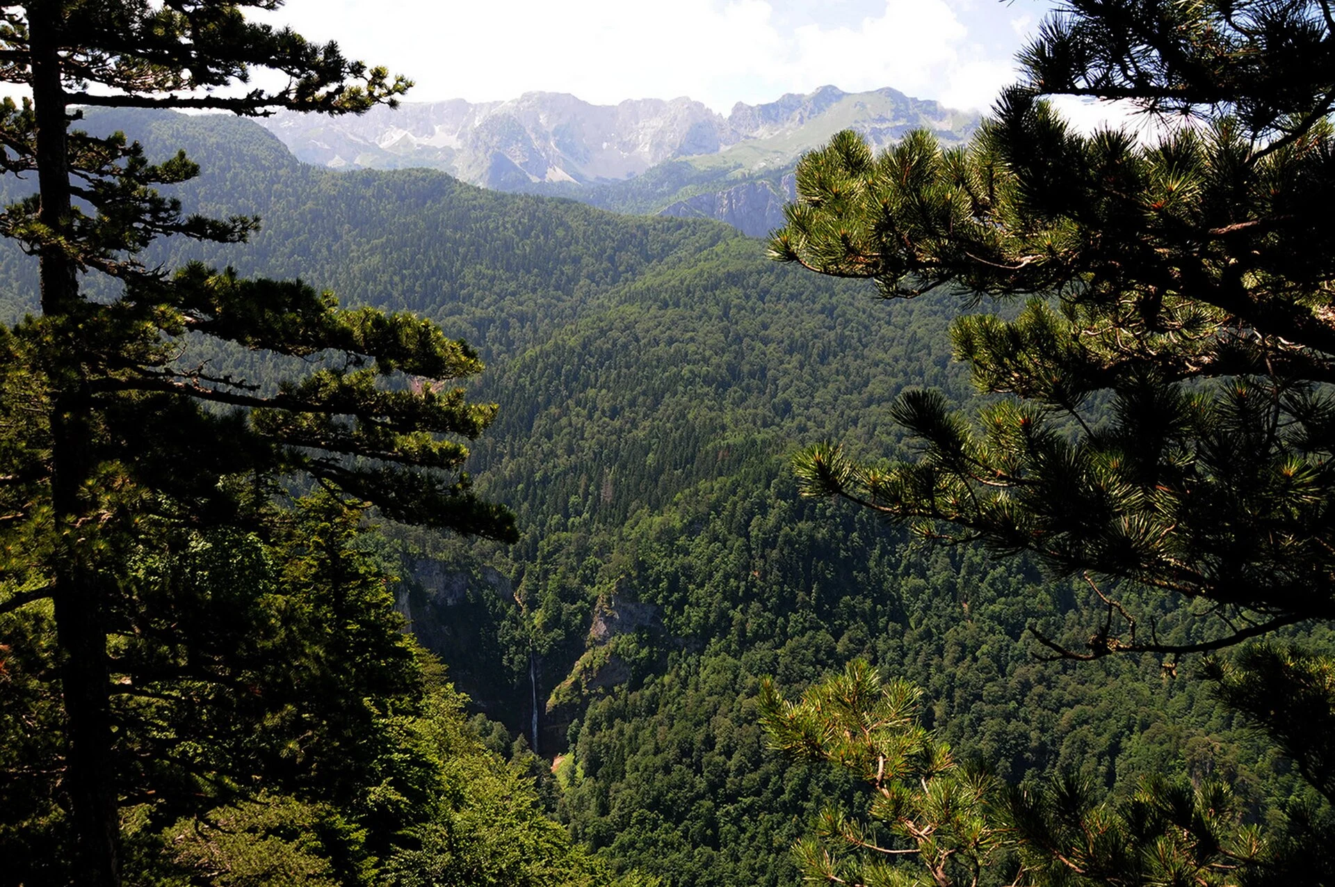 Sutjeska réunit Perućica et la mémoire de Tjentište