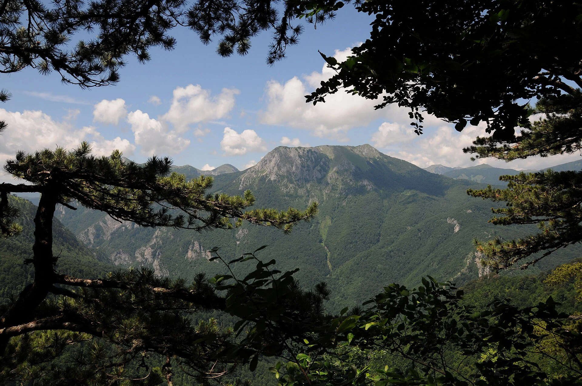 Sutjeska brings together Perućica and the memory of Tjentište