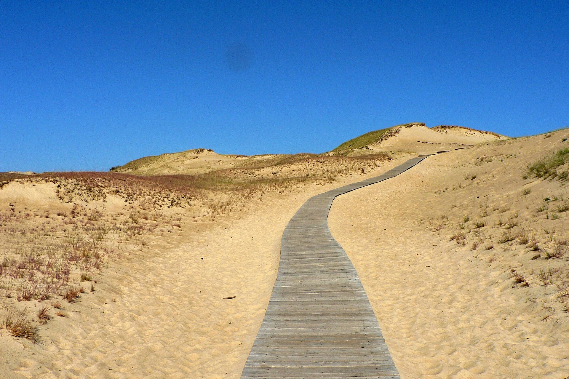 Marked trail through the grey dunes of Nagliai Nature Reserve.