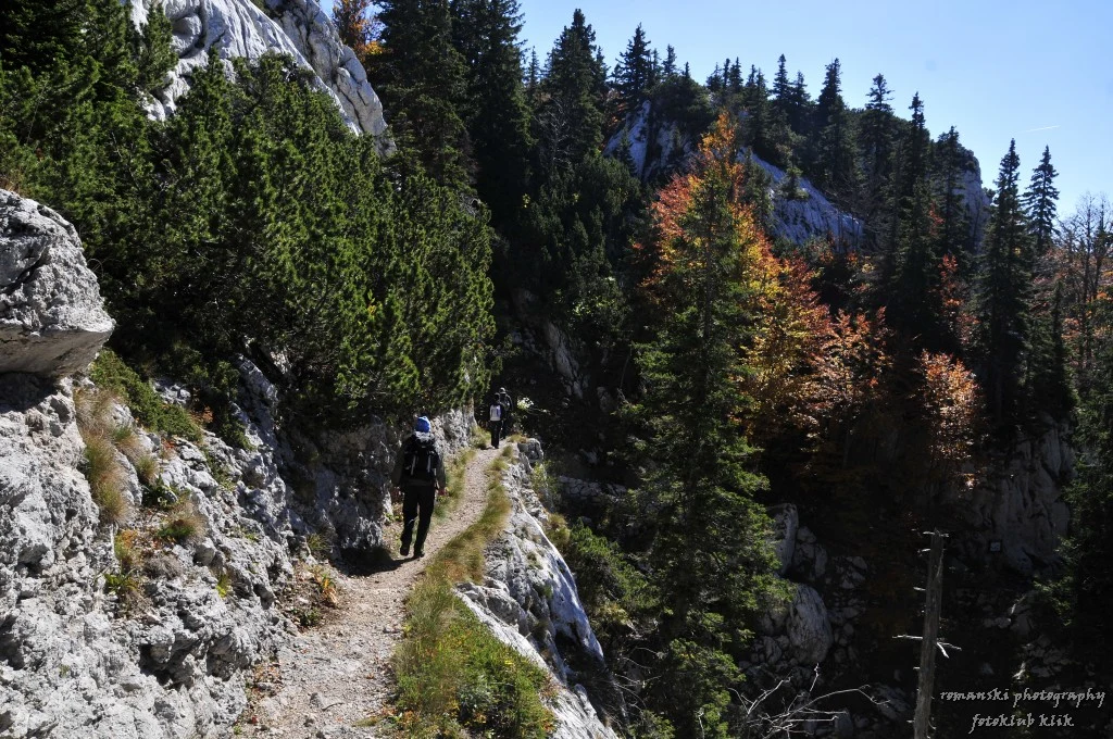 Wandernde Person auf dem Premužić-Weg zwischen Karstfelsen und Buchen im nördlichen Velebit.