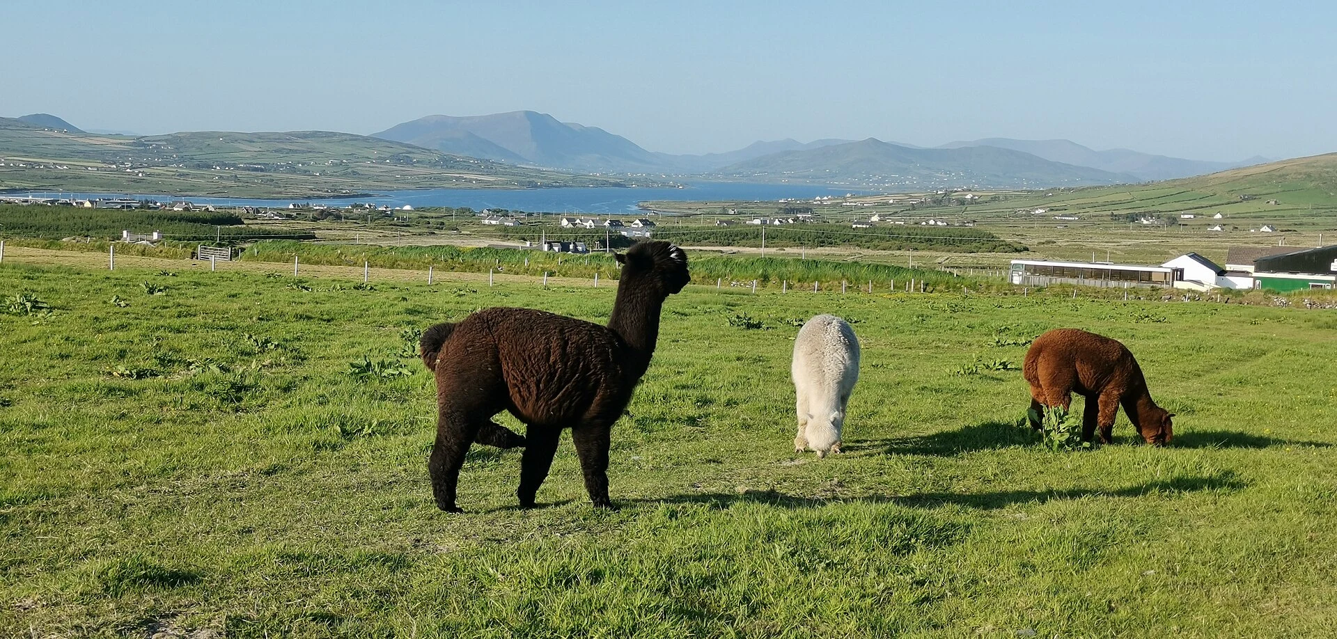 Iveragh Peninsula