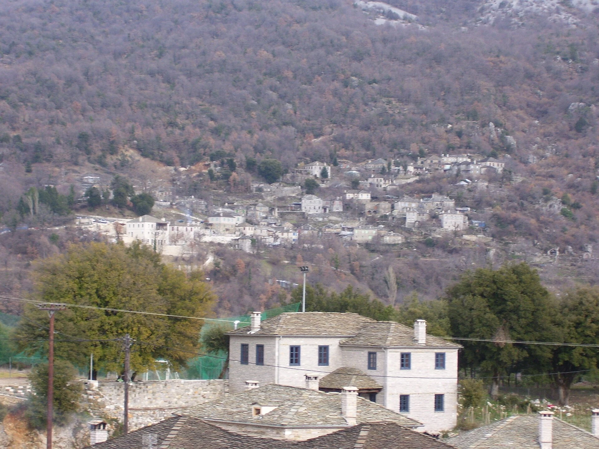 Papingo