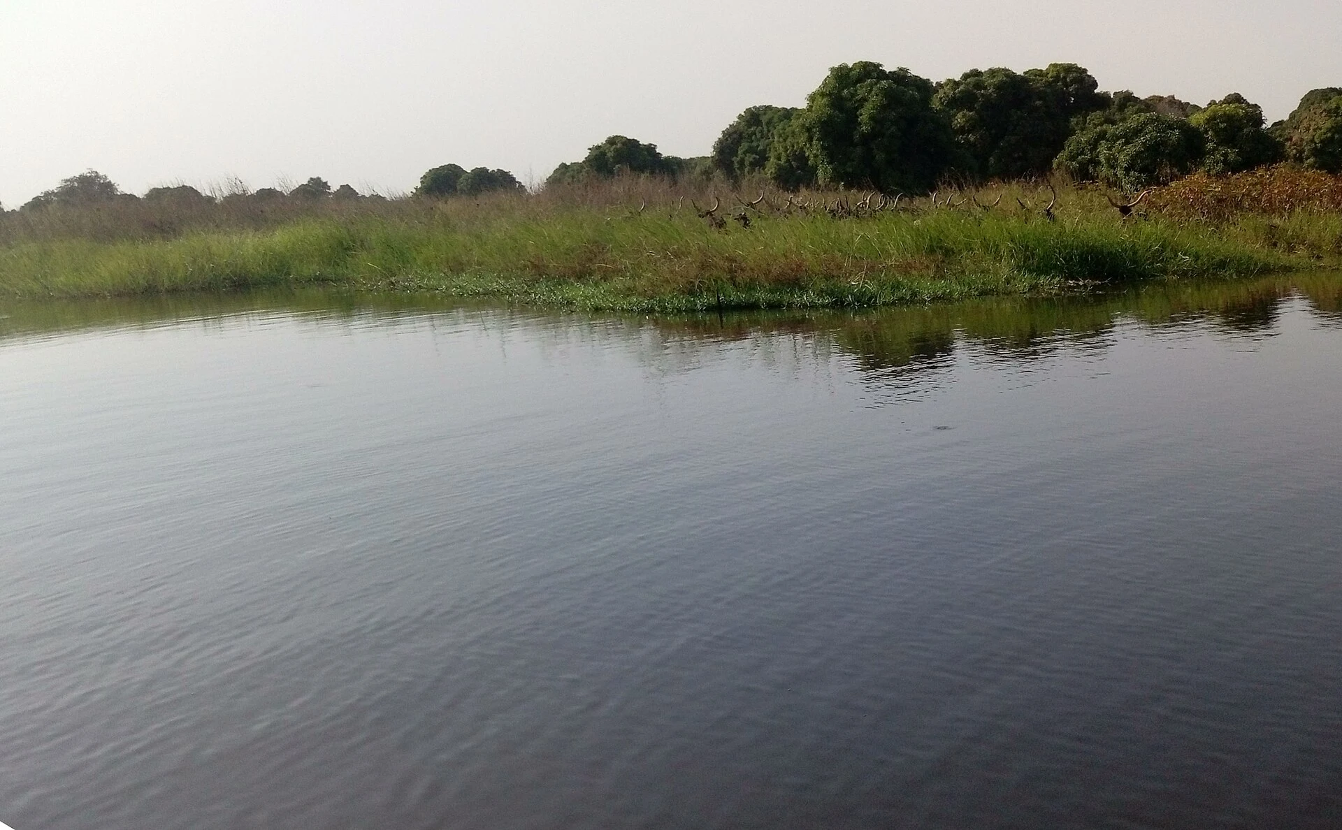 Lake Chad