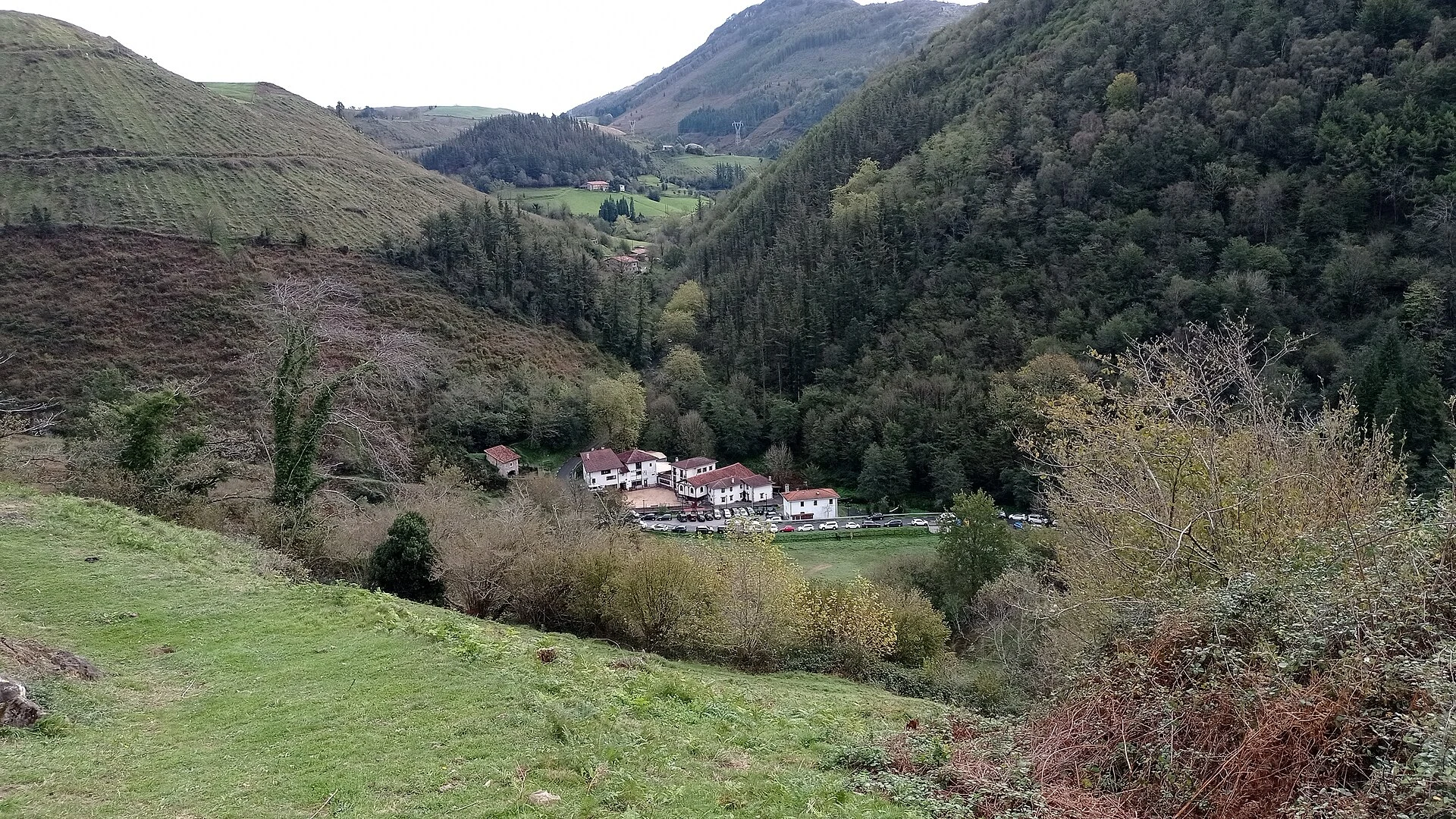 Deba